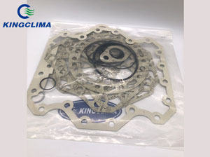 Compressor Gasket Kit 99794039 for Bitzer